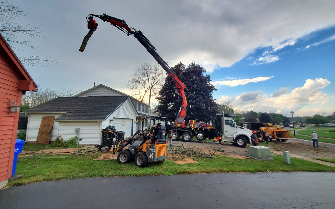 Rochester Wind Storms: Protect Your Home and Family from Tree Damage