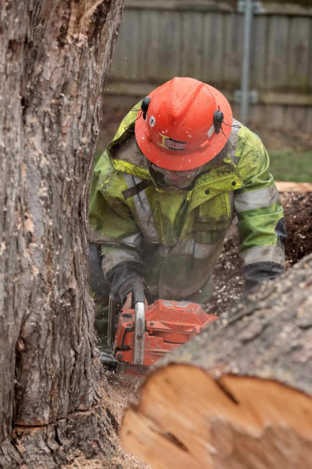 Expert Tree Trimming Rochester, Rochester Tree Planting Services, Hazardous Tree Assessment Rochester, Safe Tree Removal Rochester NY, Emergency Tree Cutting Rochester, Tree Disease Treatment Rochester